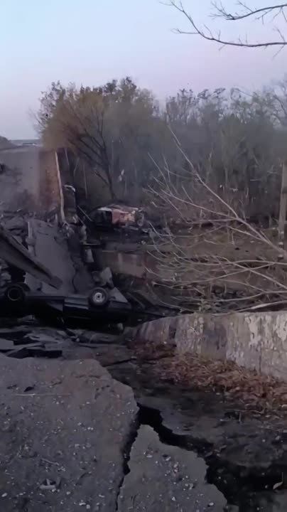 ���� �������: ��� ���������� ���� ����� ��������� � ����������