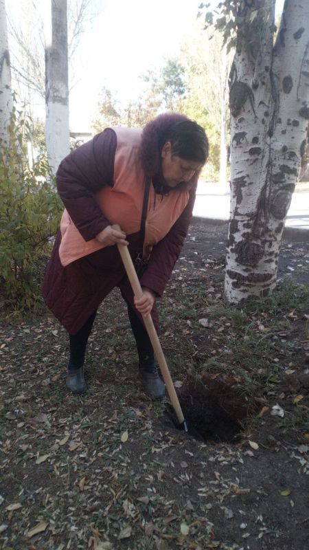 ���� �����������: �������, 12 �������, ������ ������������ ����������� ���� ��������� ������ �� ��������� ������� � ������� �� ���������� �. �������: