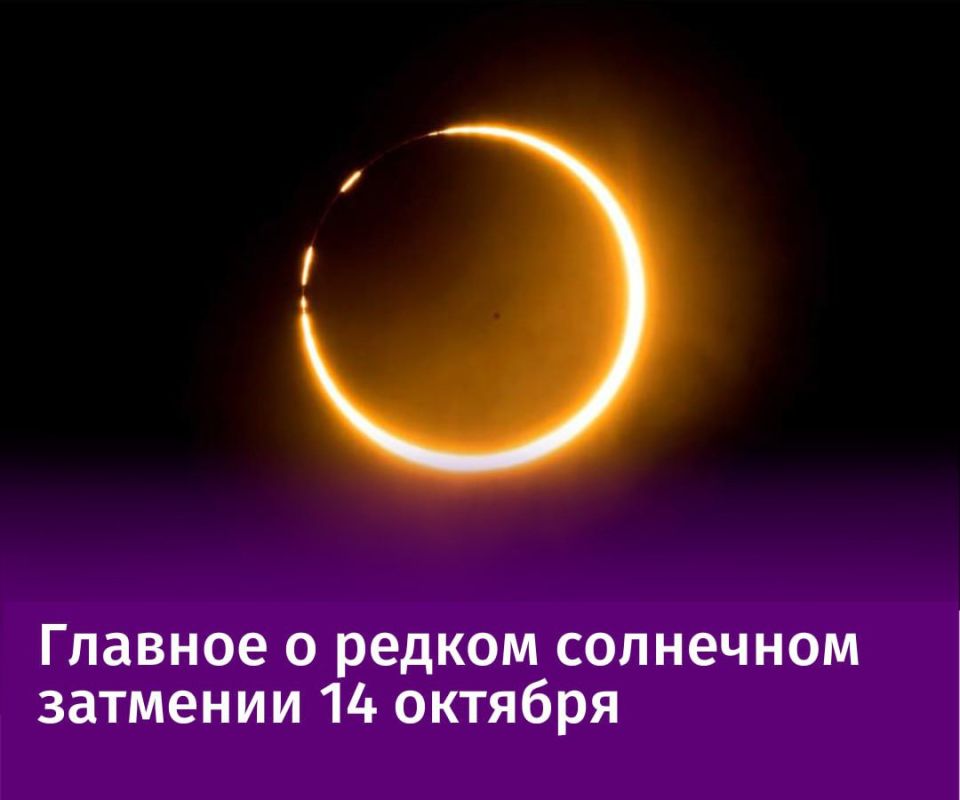 "�������� ������ � ����": ����� ��������� ��������������� ������� ���� � �������������� ��������� ��������, ������� ���������� � �������, 14 �������