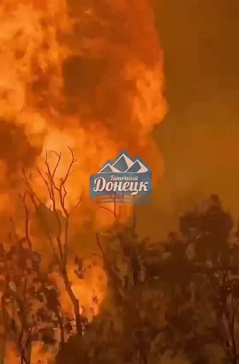 ����� �����: � ������ ��������� ����� ����������