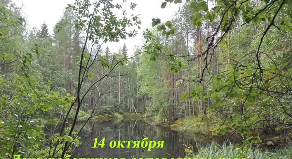 �������� 14 ������� ��������� ����������� ���� �������� ���� ���������������� ��������.