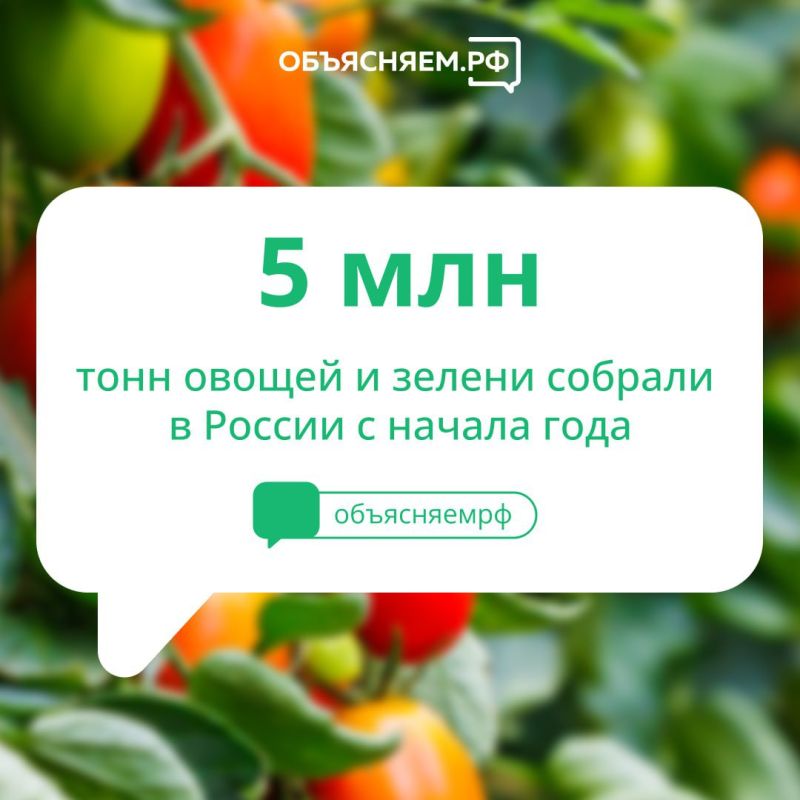 ��������� ��������: � ������ ������� ����� �� �������� ������ ������ � �������� ������, ��� � ������� ����