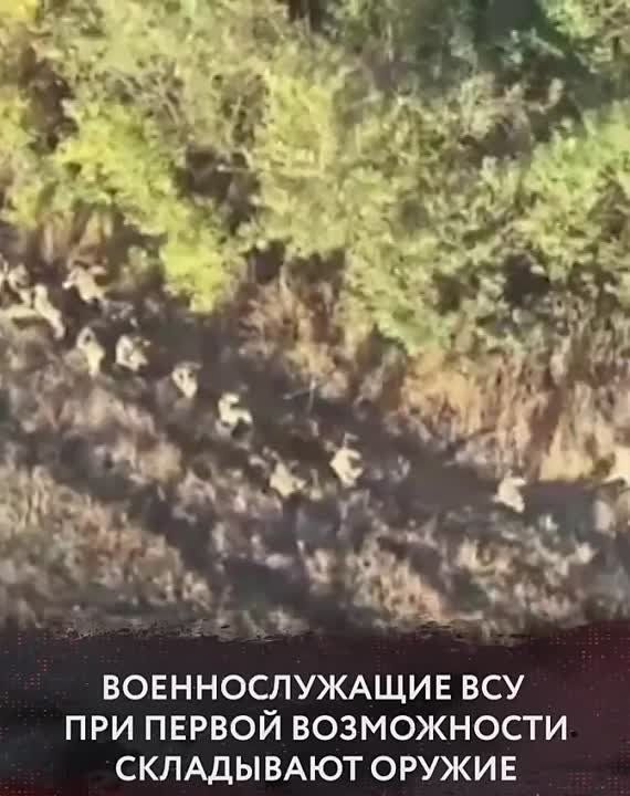 ���������� ������� ������������ �������