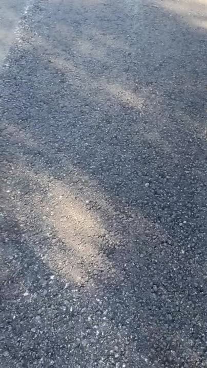������������ ��������� ������