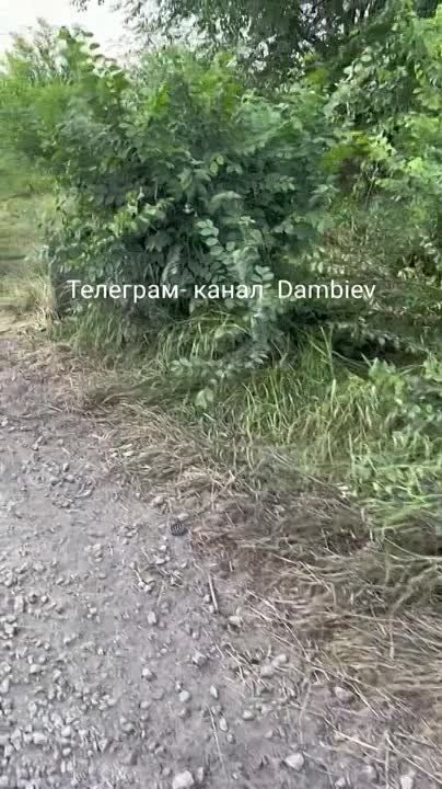 ������ �������: ��� ���� ������������ ���������� Humvee ������������� ������������ �� ����������� �����������