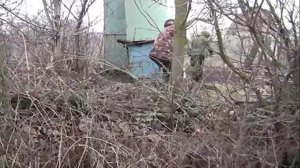 ��������� ���������: ������� � ������� ������ ���������