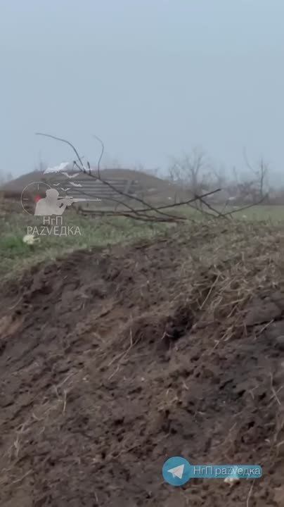 ������ ����������: � ���,������,��� ����� ��������!((