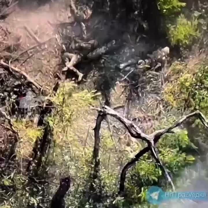 ������ �������: ������ ��������� 152�� ������� �� ���� �������� ���������� ������������ �� ���������� �����������