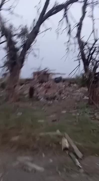 ������ �������: ��� ���� ������������ � �.�. ��������� ���������� ��������������� Bushmaster �������������� ������������