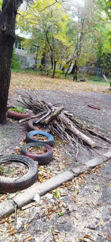 ������� ������: ������� ���������� �������������� ���������� ����������� ������������� ������ ������� "����������� �������� ������������ ������ �.�������"