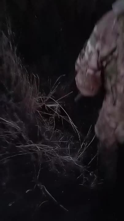 ���������� ����� ��������� �� ������� ��� ��� ���������
