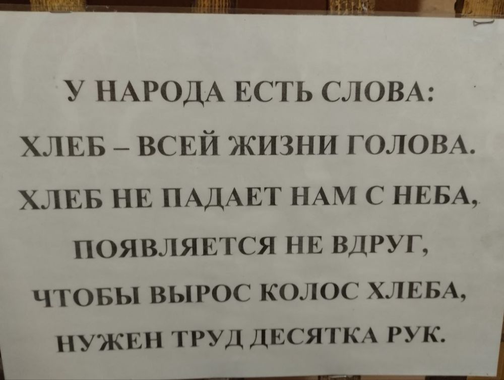 16 �������� - ��������� ���� �����