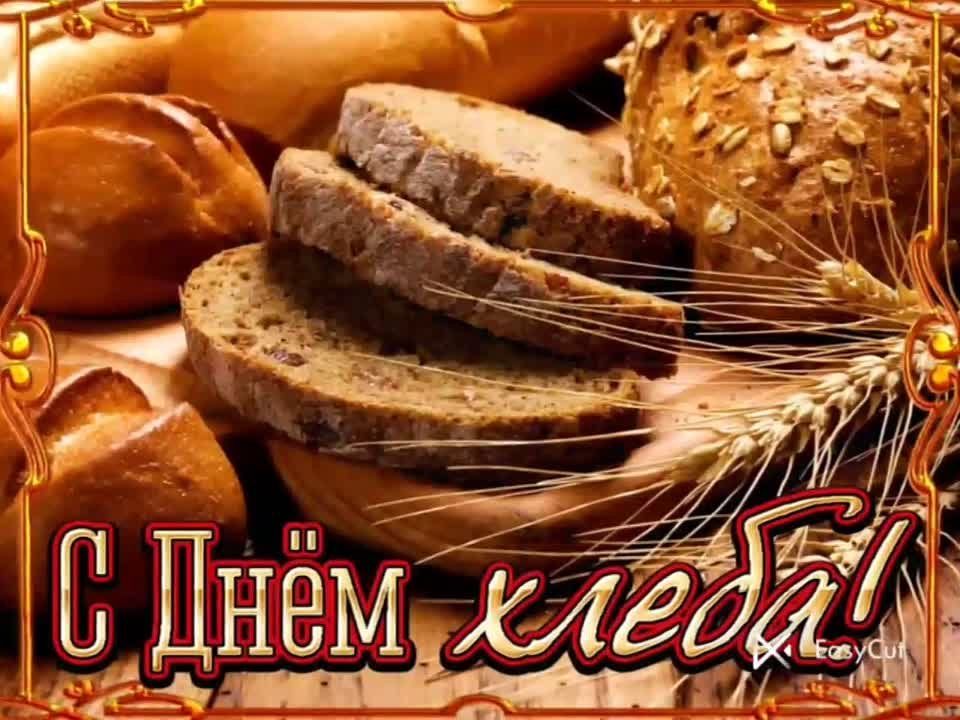 17-�� ������� � ������� ���������� ���������� ��� ����� ���� ��������� ����������� �������� "���� ����� ������", ����������� ���������� ��� �����