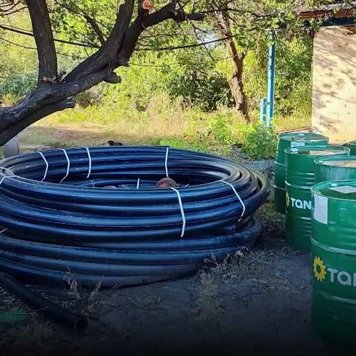 ��������� ������ ��������� ������������ ������ �� ������ ����� ������������ �������