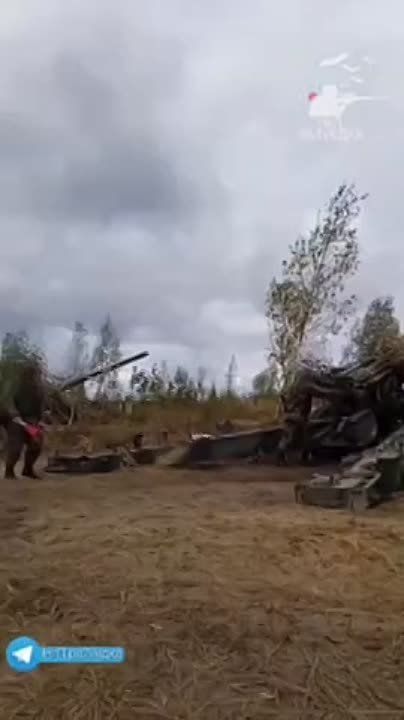 �� ���������� ����������� ������������ ���������� ���������� �������