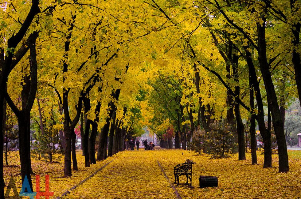 ������� �������� ����� �����������