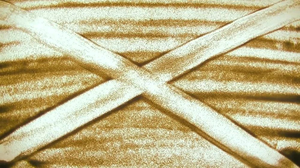 "В наших диких полях" - Группа "ЗВЕРОБОЙ"