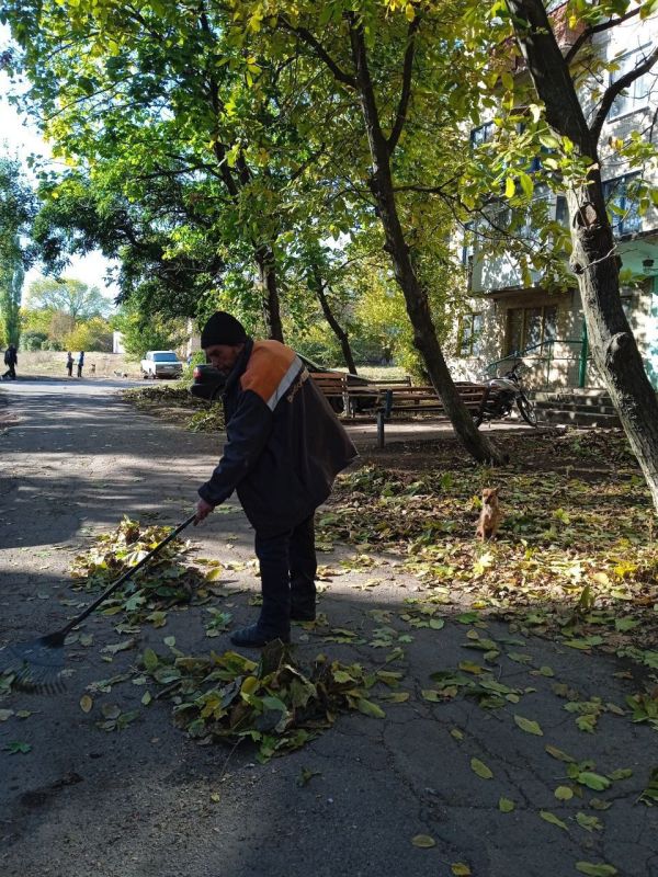 ���� �����������: �������, 19 �������, ������ ������������ ����������� ���� ��������� ������ �� ��������� ������� � ������� �� ���������� �. �������: