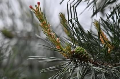 � ��������� �� ����� �������� ������ ����� ����� ������ ��������� ������� �����