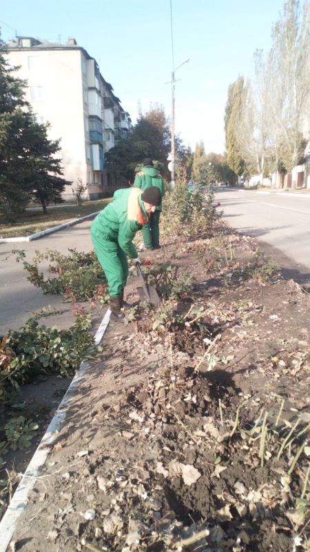 ���� �����������: �������, 20 �������, ������ ������������ ����������� ���� ��������� ������ �� ��������� ������� � ������� �� ���������� �. �������: