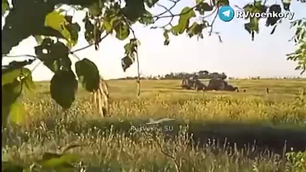 ������� �������: ����� ������������ �� ����-�������� ����������� ����������� ������ ��������