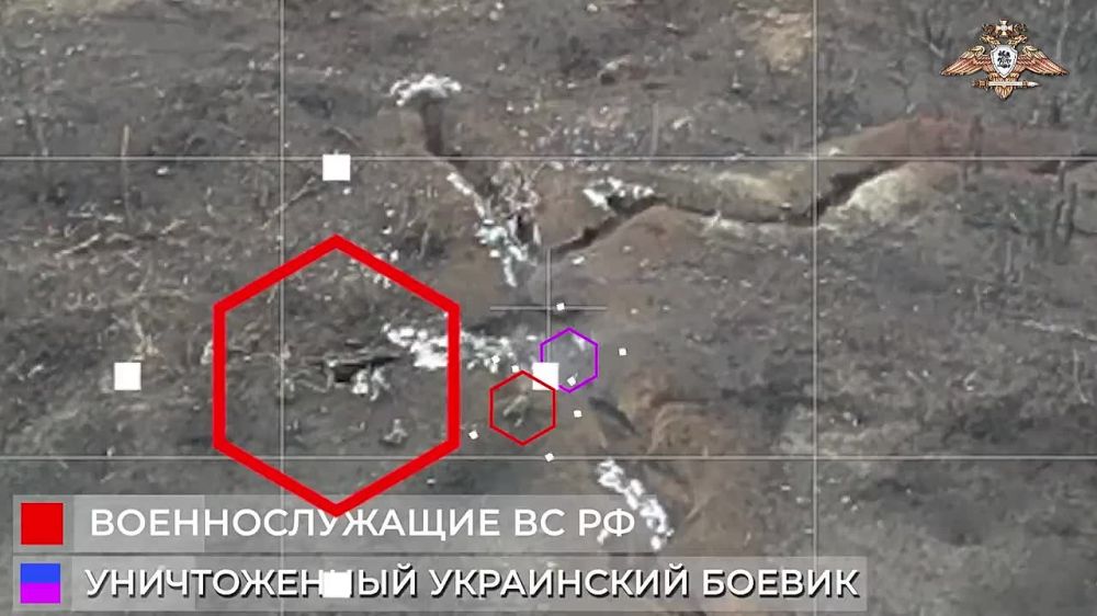 ������� �������: ���� ����� ��������� ��������� ������� ������������ �� ���������� �����������