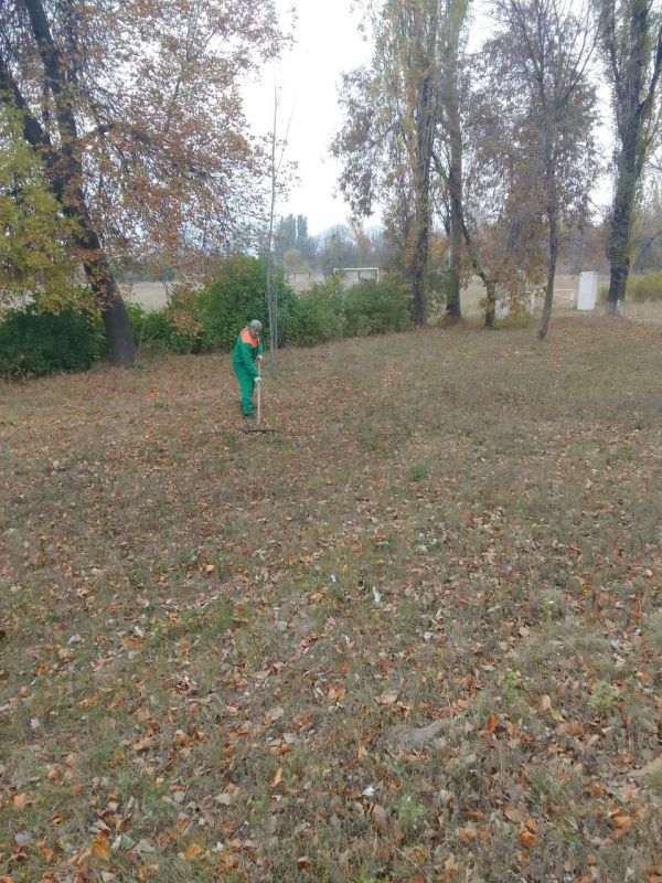 ���� �����������: �������, 20 �������, ������ ������������ ����������� ���� ��������� ������ �� ��������� ������� � ������� �� ���������� �. �������: