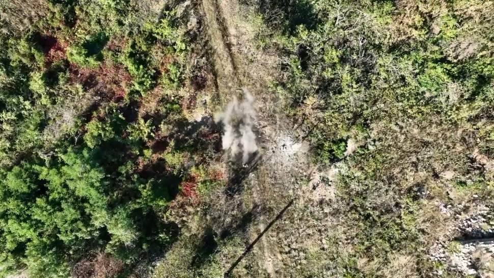 ���������� �������� ����������� ������ ��� � ������� ������ � ���� ���