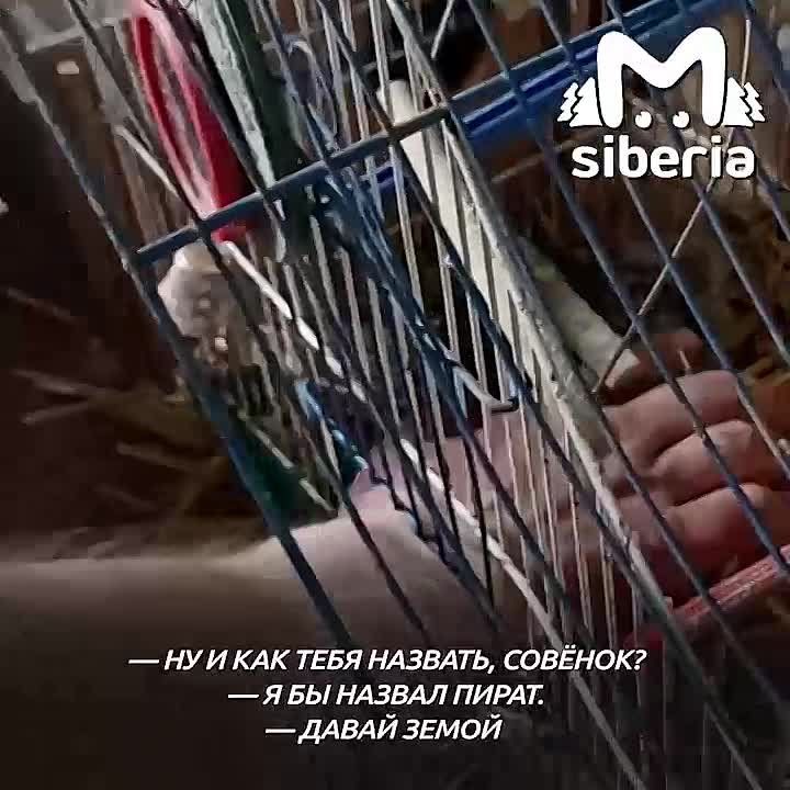 ����� ��������������� ��������� ����������� ����� � ����� � ���� ���