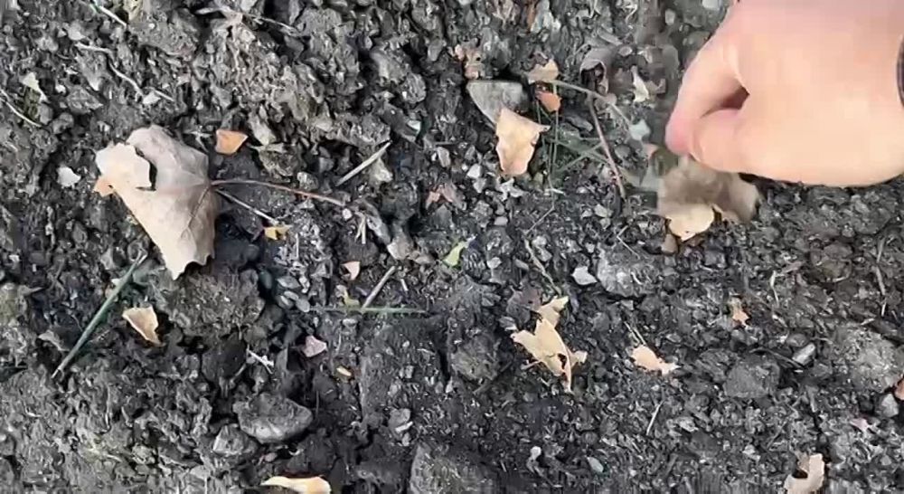 ������ ��� ��������� ��������� � ���������� ������������