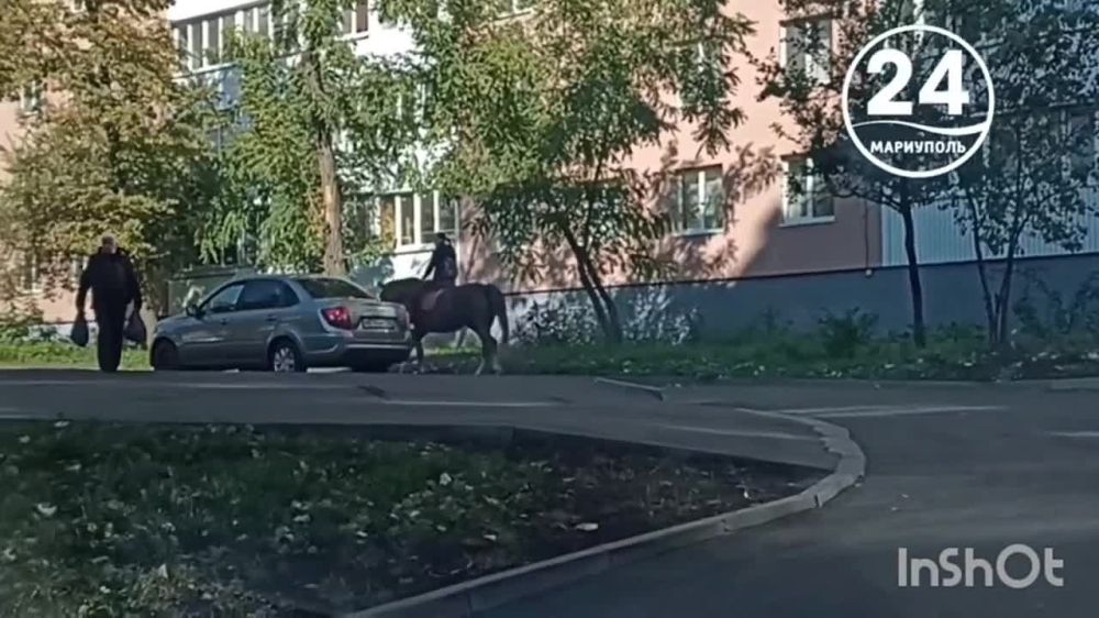 "�������� ����" ����� � ���������
