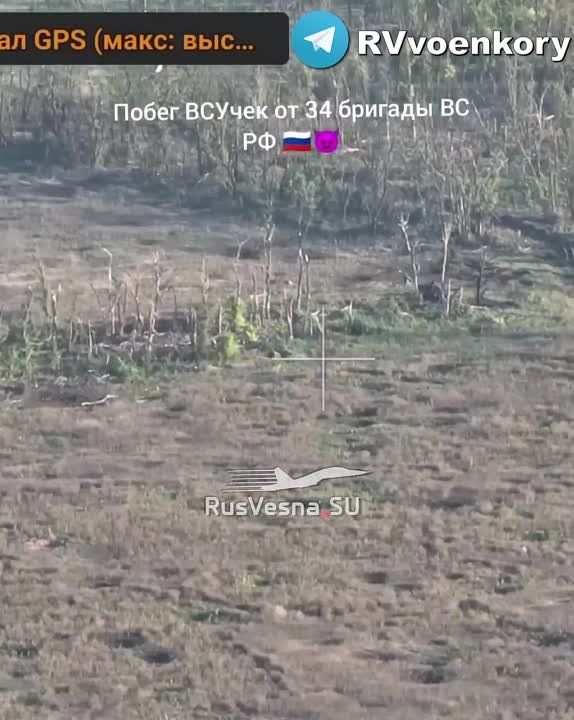 ������� �������: ������ ����� �� �������: ����������� ��������� �� ���� ���������� ����� ��������