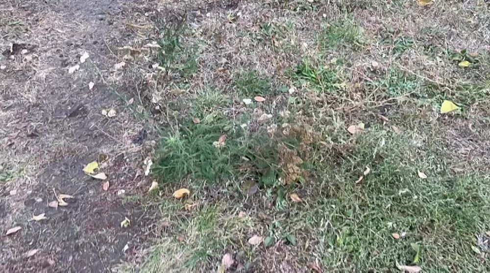 Himars ���� ����� � ������� ��������� � ������������ ������