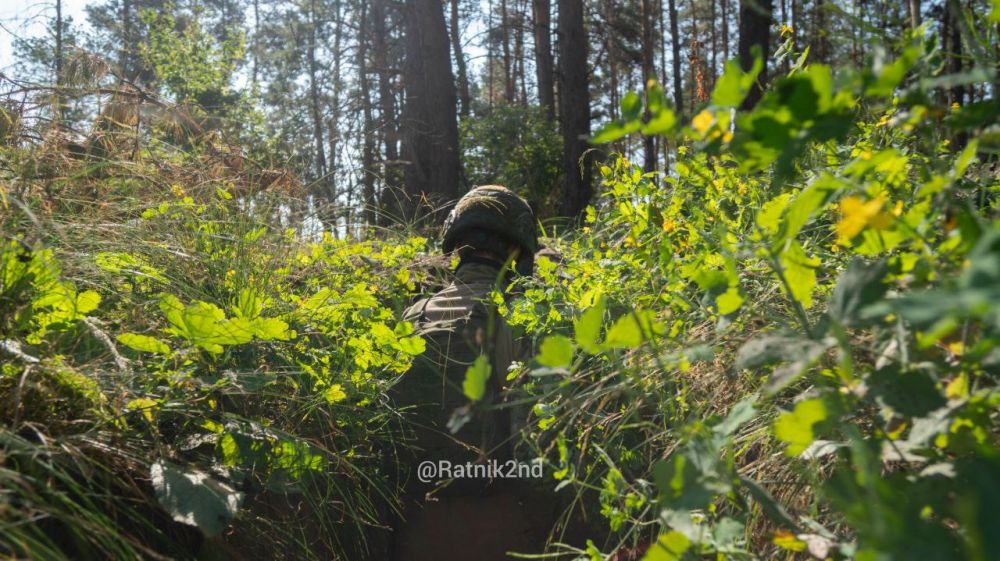 ������ ��������: �������� �� �����, �������