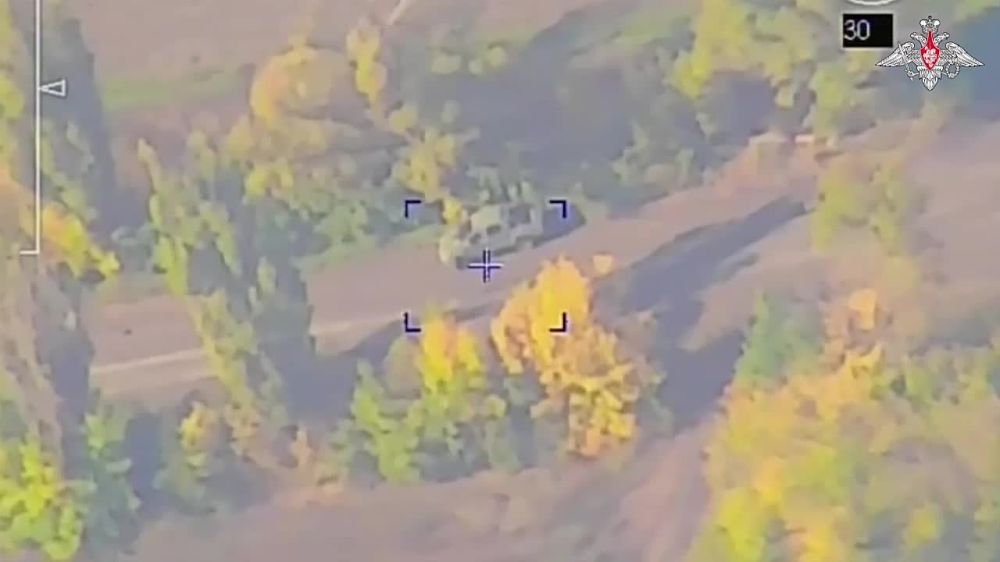 ���� �������: ����������� ����������� � ��������� ������ 80 ����� ���