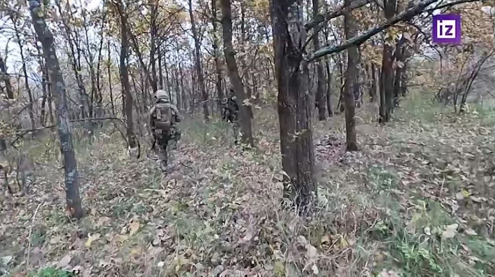 "���� �������� ���������� � ���������, �� �� ����� ��� �������������, �� ��������� � ������� ����������": ������� ���������� ���� ������ � ���������� ������������ ����������