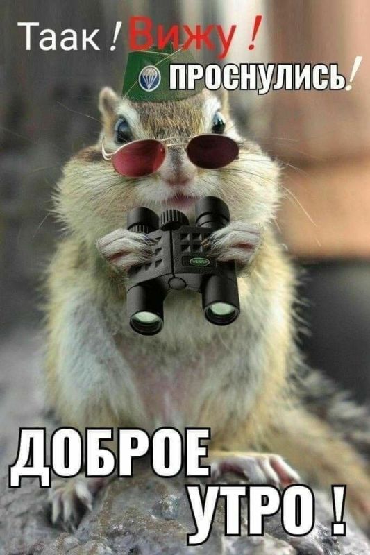 � ������ �����! ���� �������� ��� � ��������� ����������
