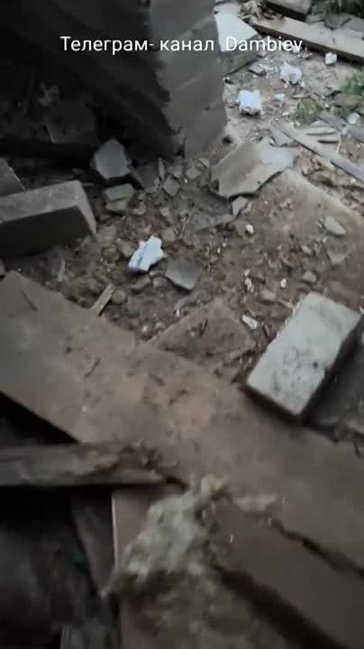 ������ �������: ��� ���� ������������ ���������� ������