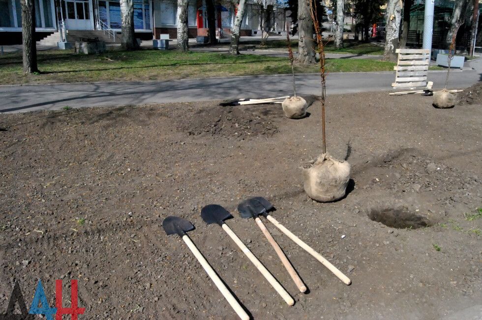 �� ������������� ���������� ����������� ��������� �������� 25 ��� ������