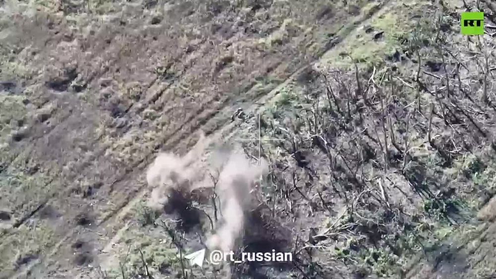 ������� �������: ���-����� ������ ������� � ��������� ����� �� ����������� �����������