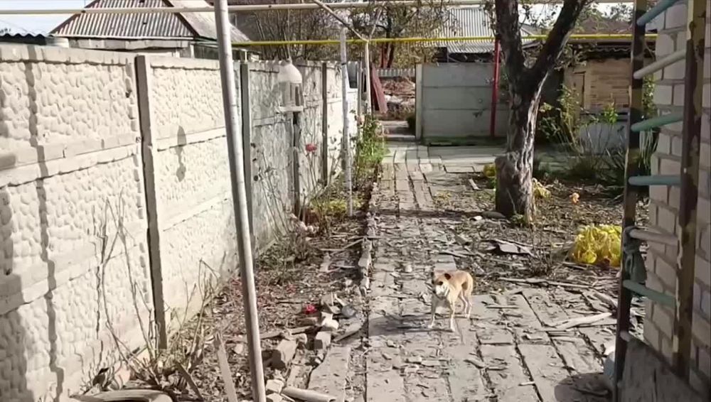 ����������� �������� �� ��. ������������� � ������������ ������ �������