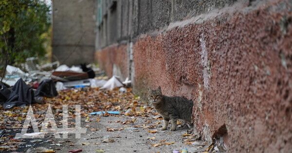 ��� � ��������� ����� ��������� ������������� ��������� �� ��������� � ��������