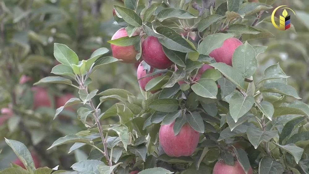 � ���������� ���� ���� �����