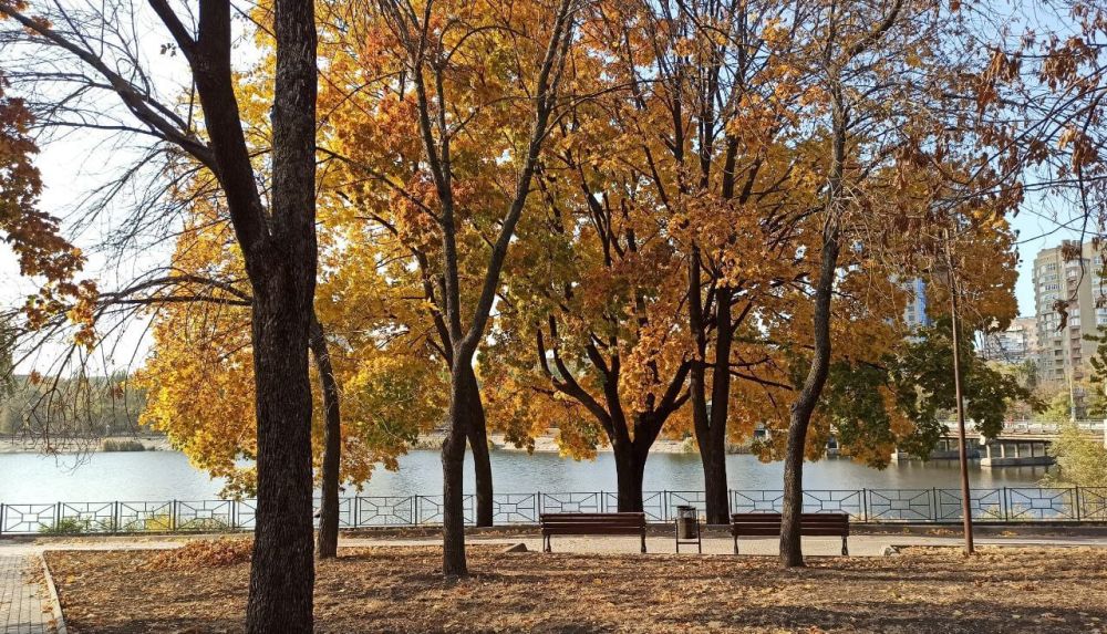 Важное за день: 24 октября