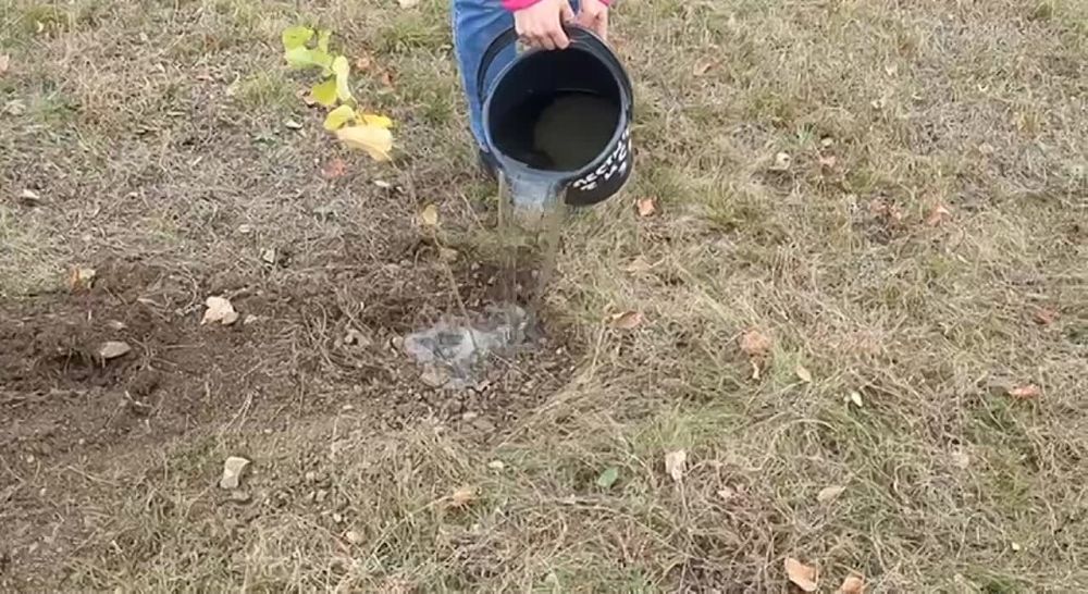 ��������� ��������� � ��������� ��������������������� ���������� ������� ������� � ����� ��������� ���
