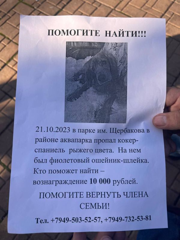 � �����������.. ������� ������ - �������. ������ ������� �����