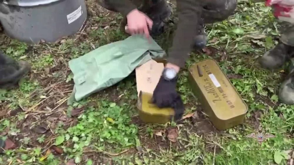 Ирина Волк: Сотрудники МВД России задержали подозреваемых в незаконном обороте оружия