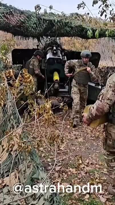 ������� ���������: ������� 5-�� ������� �������� �� ��������.