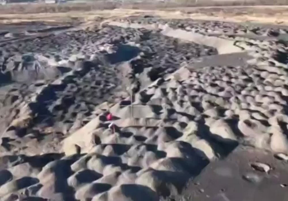 ��� ������: ��������� ������ �������� � ����������� ����� ����� ��� ���������
