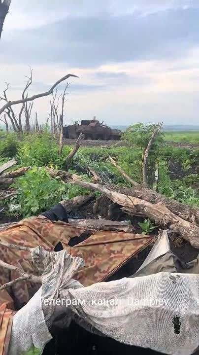 ������ �������: ������������ �� ����������� ����������� ���������� ���-4� '�������"